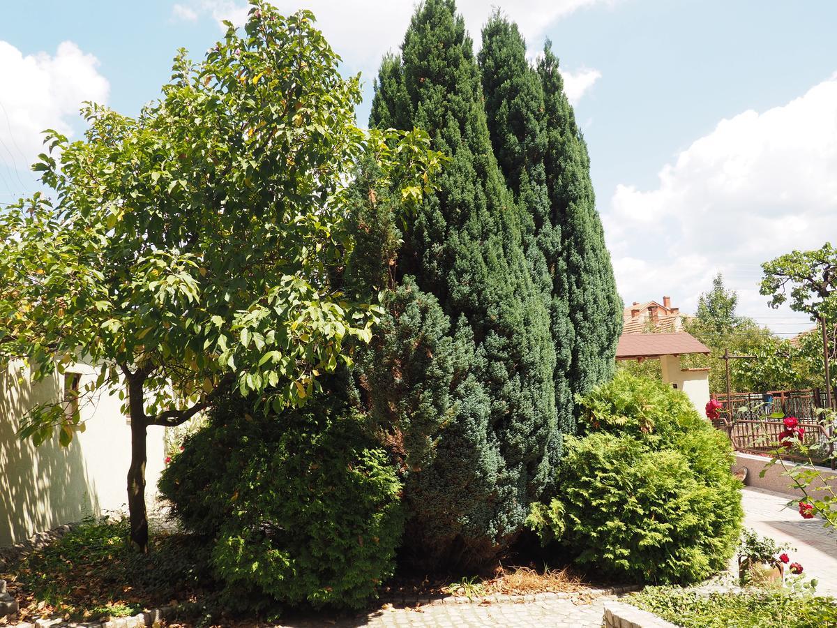 Guest House Stefanovic Vranje Exterior foto